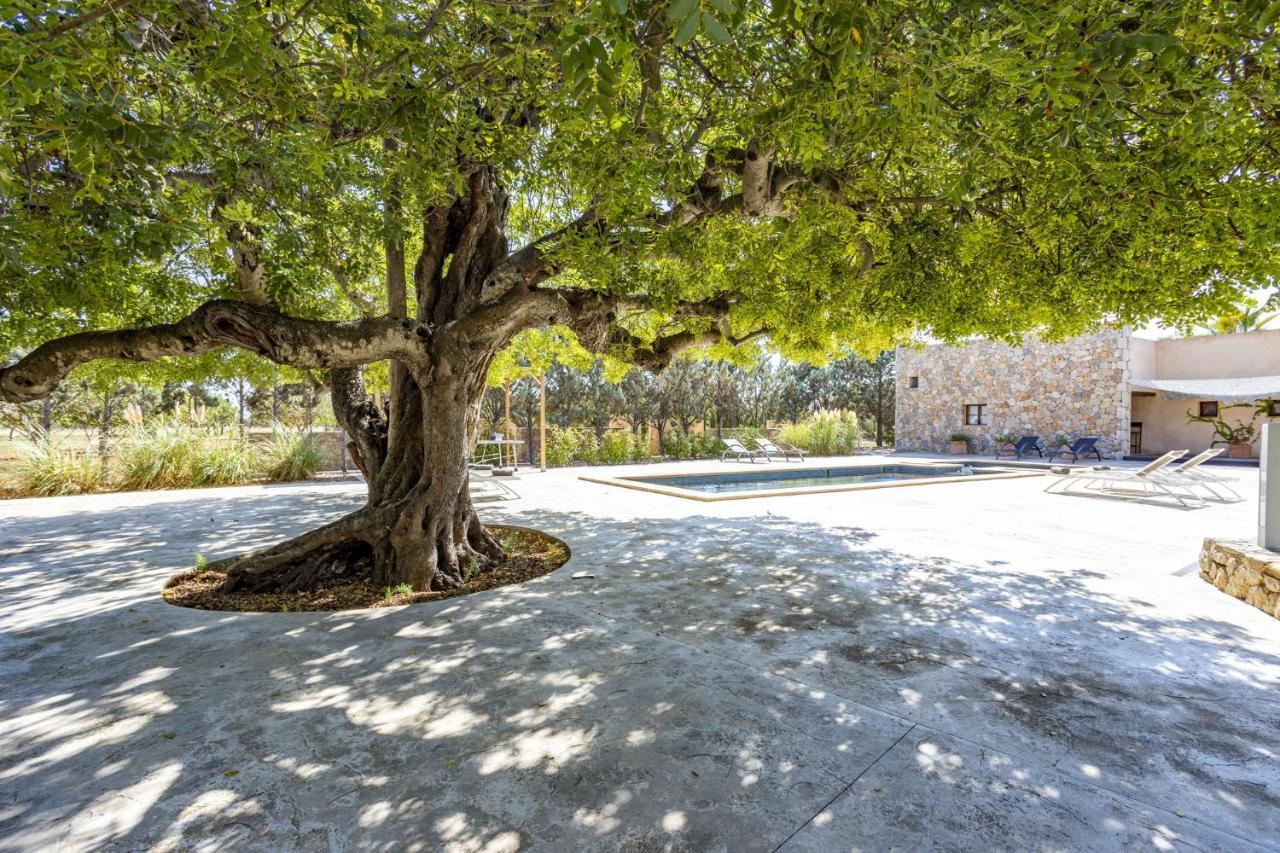 Villa Es Triquet Family Бинисалем Экстерьер фото