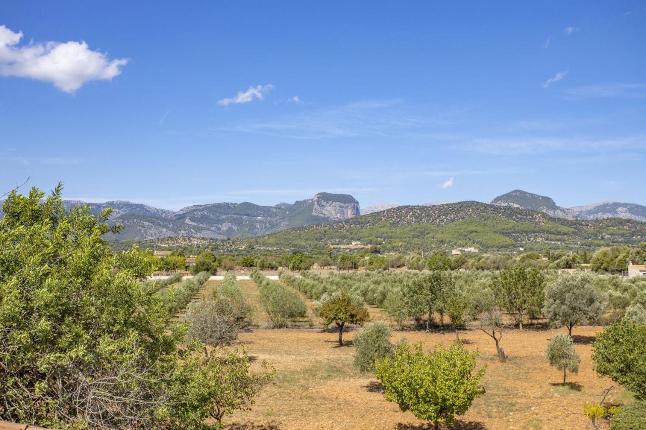 Villa Es Triquet Family Бинисалем Экстерьер фото
